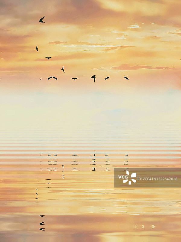 突尼斯坚杜拜省，日落时分海面上空的飞鸟剪影图片素材