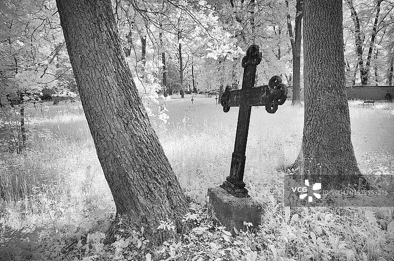 德国魏玛历史公墓的红外图像图片素材