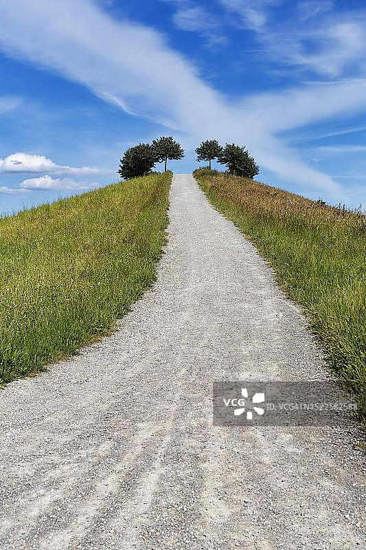 人工建造的山丘,远足小径,通往观景点的自行车道,呈圆形排列的树木,2000年世博会,景观设计师迪特尔·基纳斯特,克隆斯贝格,德国汉诺威图片素材