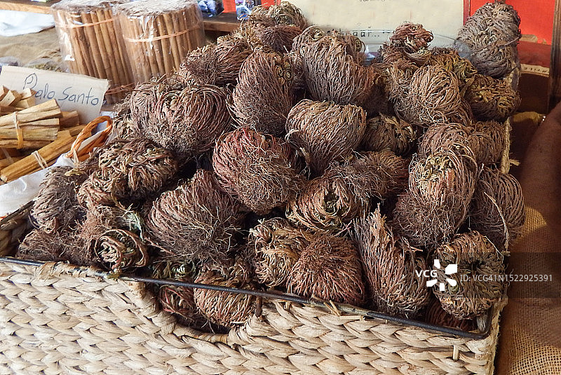 复活草图片素材