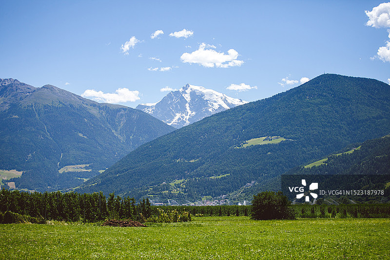 夏日奥特勒阿尔卑斯山图片素材