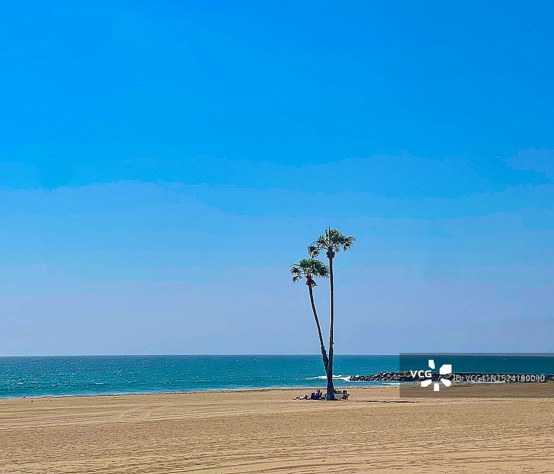 人们坐在空旷的沙滩上棕榈树下，面向大海和地平线，埃尔塞贡多图片素材