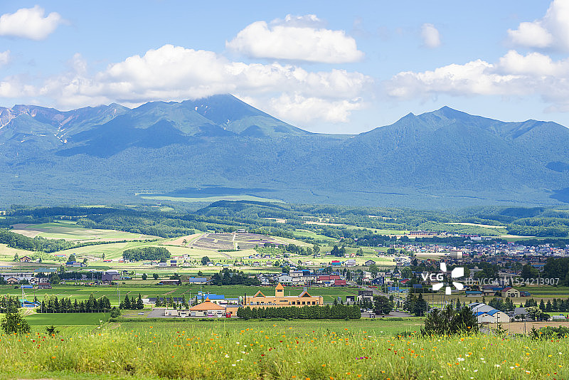 日本北海道上富良野町花田夏季美景图片素材