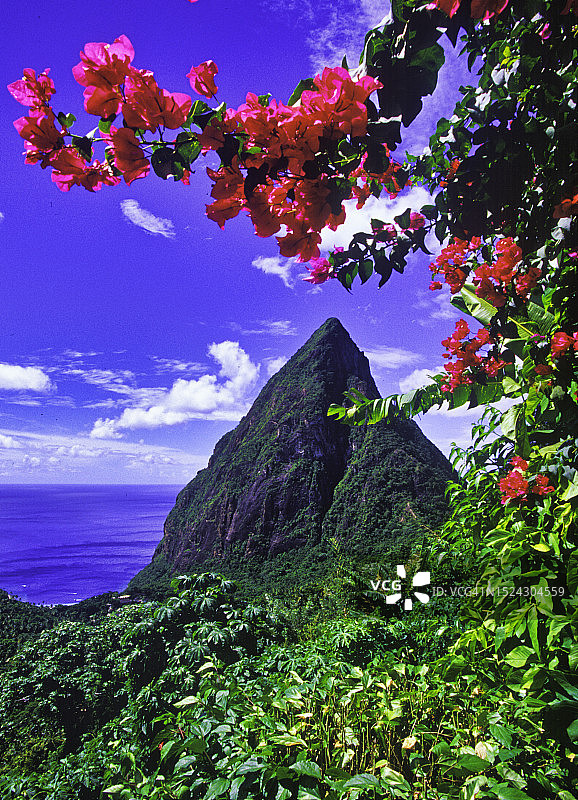 加勒比海圣卢西亚图片素材