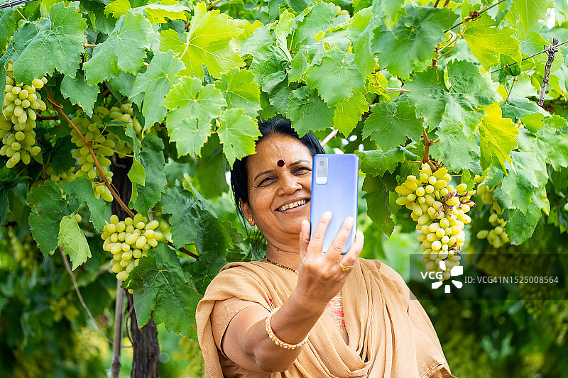 快乐的女农民在葡萄园使用手机，印度农村农业概念。图片素材