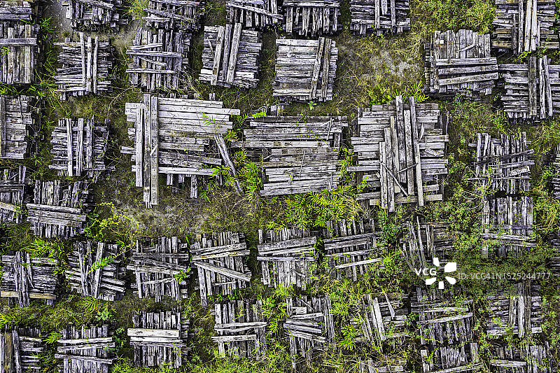 原木切割的背景鸟瞰图图片素材