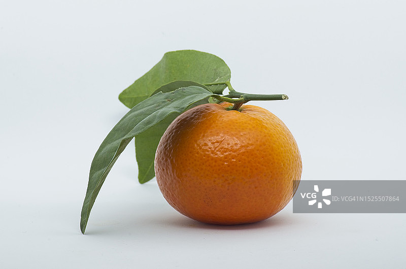 橙子的特写，白色背景图片素材