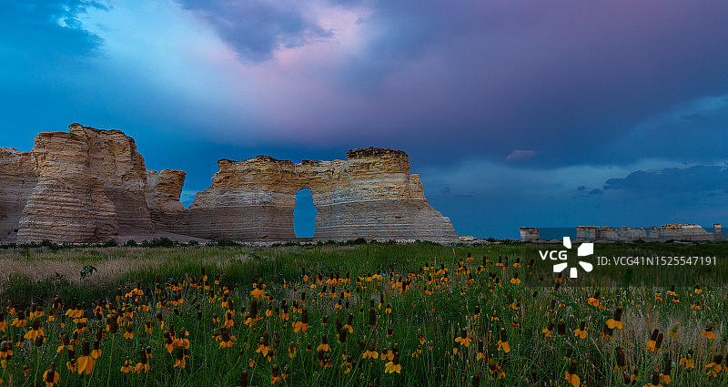 美国堪萨斯州奥克利的田野繁花美景图片素材