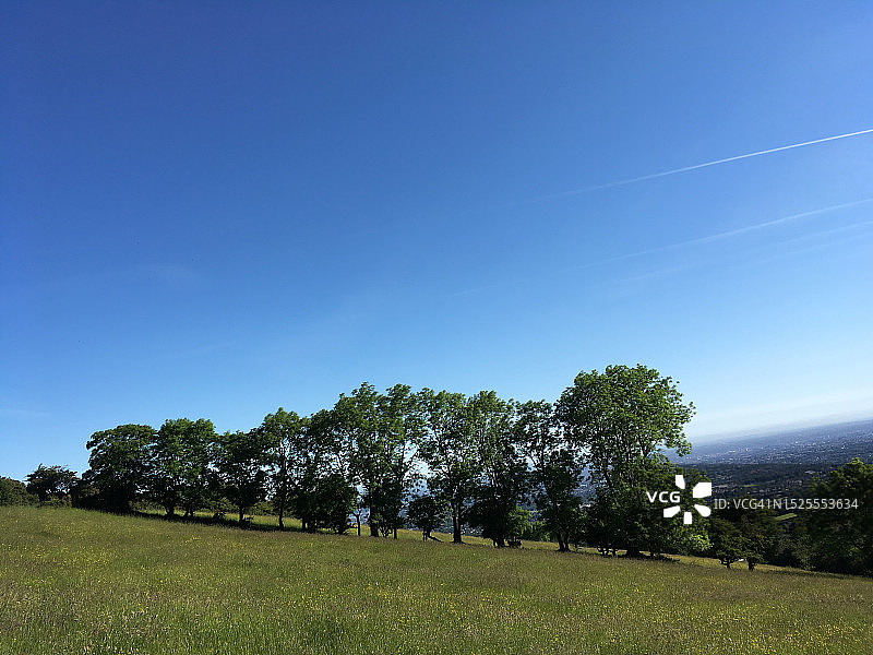 爱尔兰都柏林郡的树木图片素材