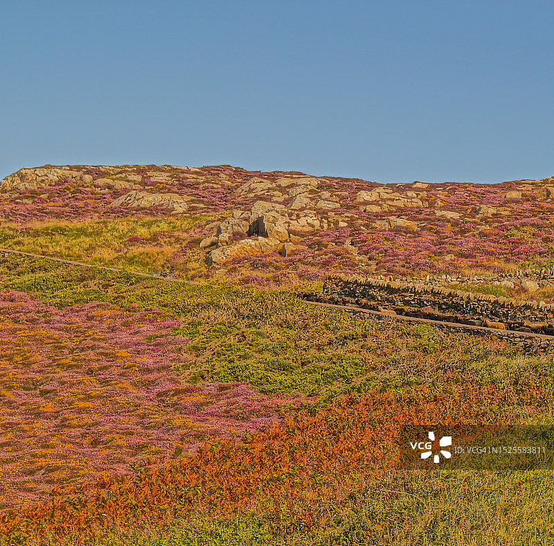 晴空映衬下的田野美景图片素材