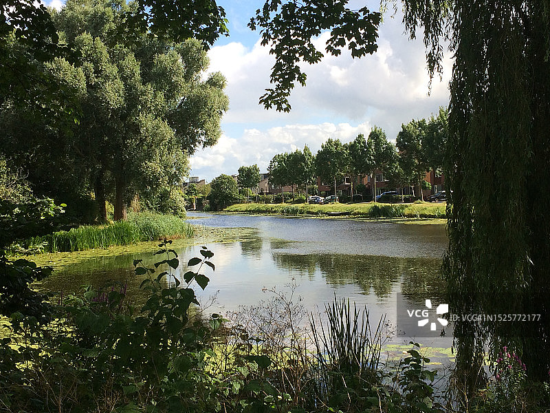 荷兰北部自然风光图片素材