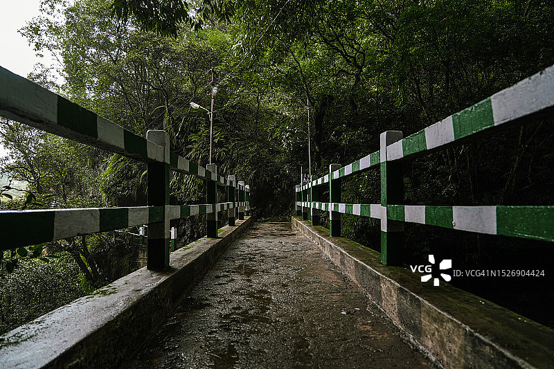 绿白相间的小桥图片素材