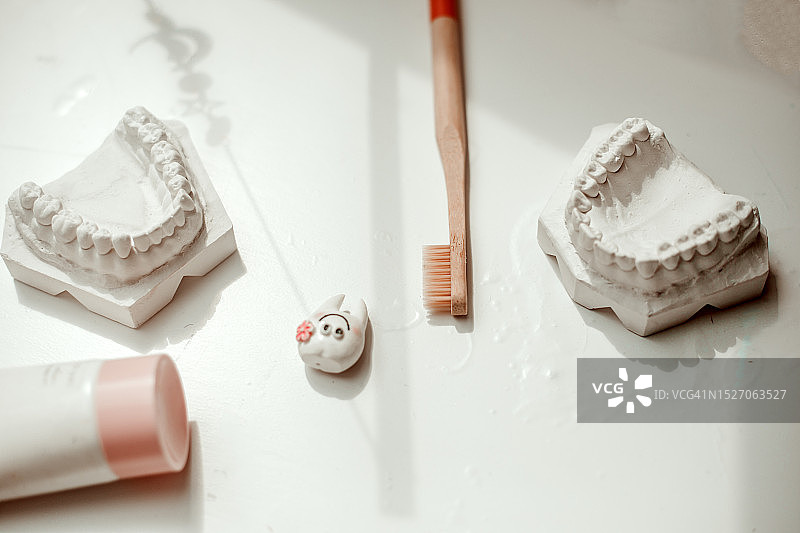 石膏牙科模型、牙刷和牙膏图片素材