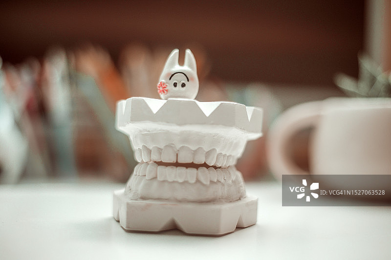 石膏牙科模型图片素材