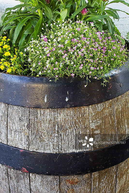 木桶花卉展示图片素材