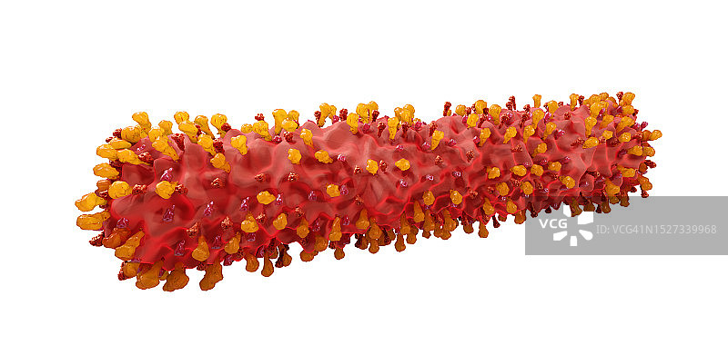丝状呼吸道合胞病毒图片素材