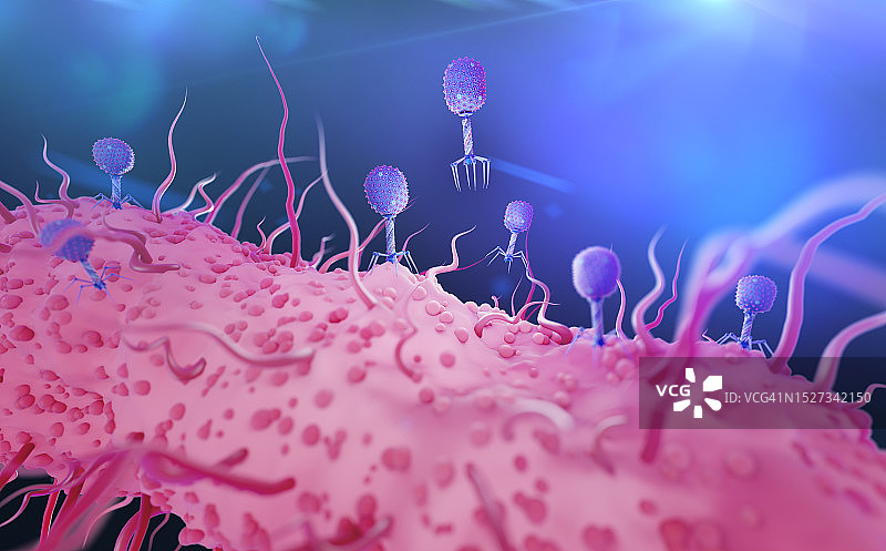 T4噬菌体感染大肠杆菌示意图图片素材