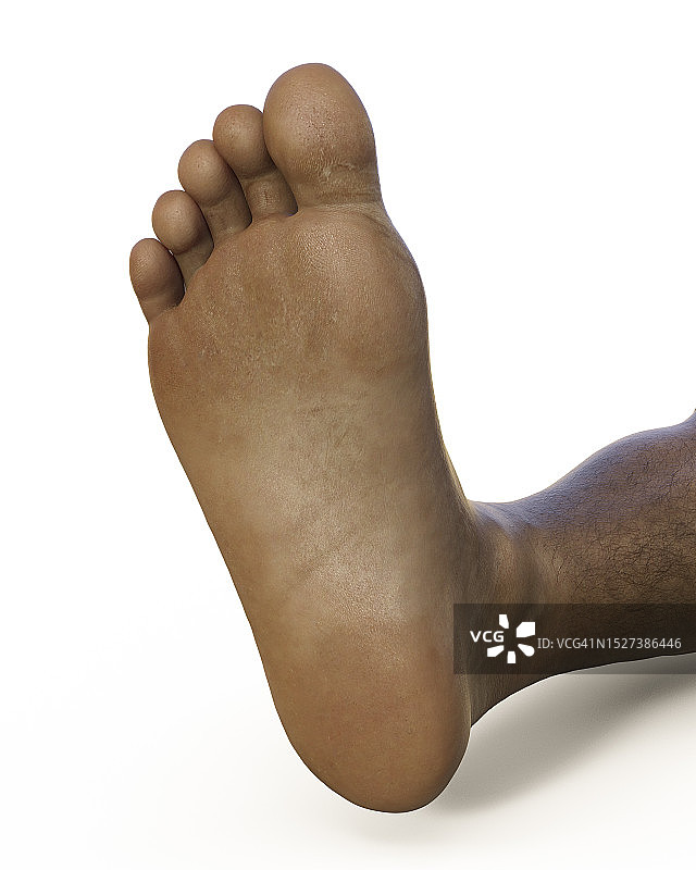 健康的足部（插图）图片素材
