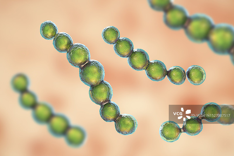 洛波氏菌病真菌插图图片素材