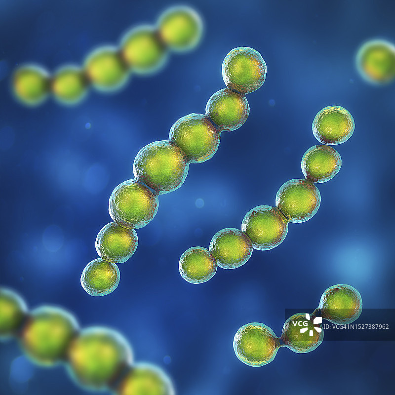 洛波氏菌病真菌插图图片素材