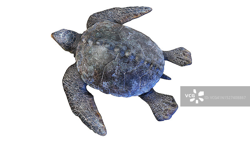 古老的古巨龟插图图片素材