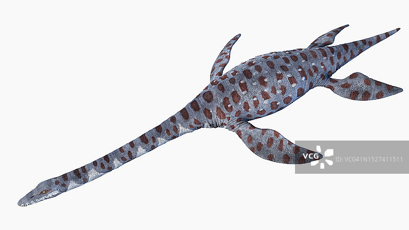 阿滕伯勒龙蛇颈龙插图图片素材