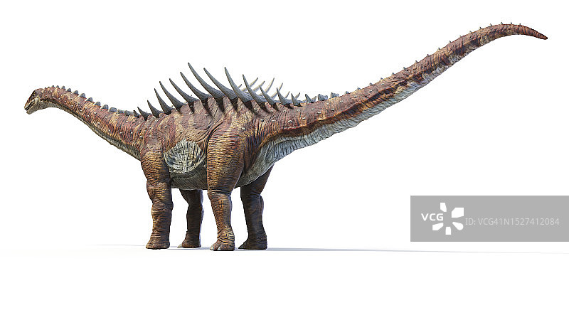 奥古斯丁龙插画图片素材