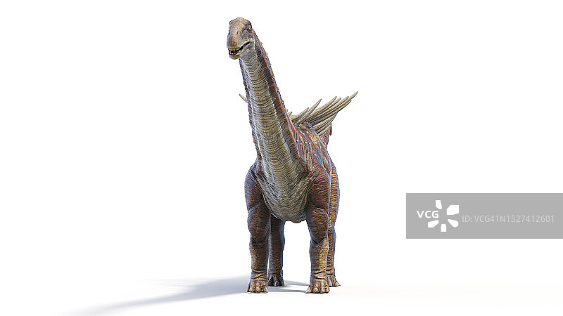 奥古斯丁龙插画图片素材