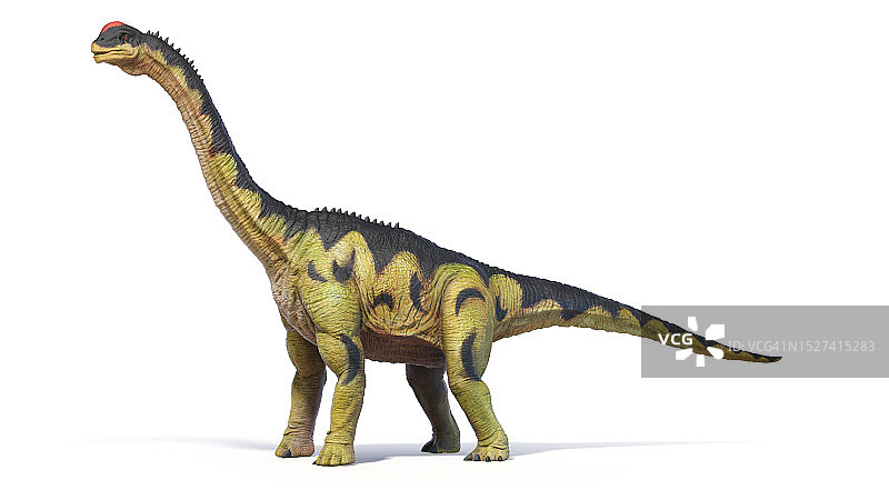 圆顶龙恐龙插画图片素材