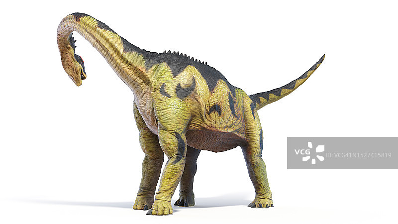 圆顶龙恐龙插画图片素材