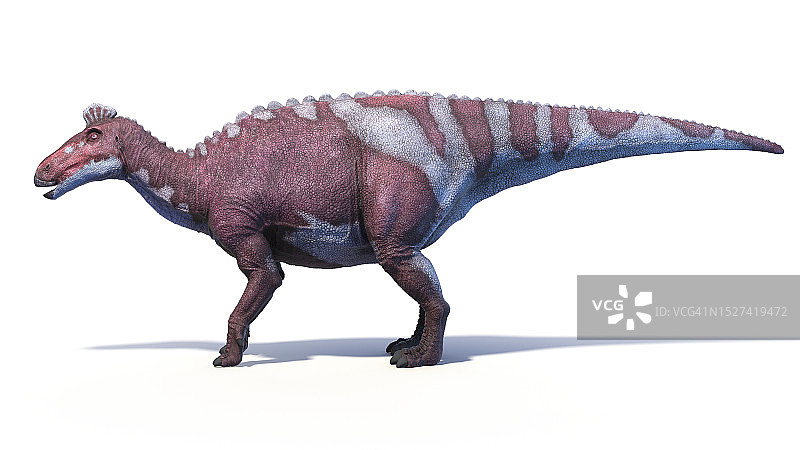 埃德蒙顿龙恐龙插图图片素材