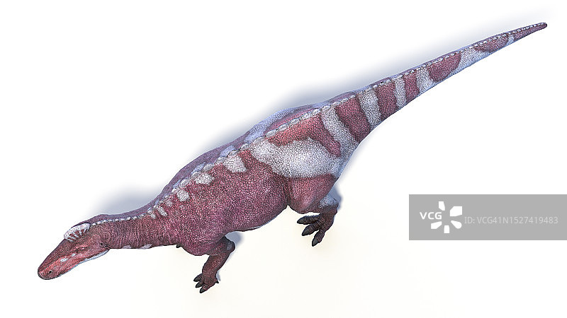 埃德蒙顿龙恐龙插图图片素材