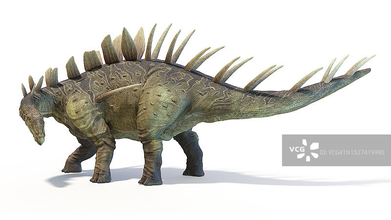 肯龙恐龙插画图片素材