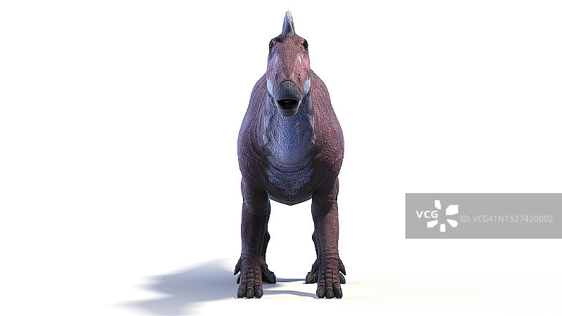 埃德蒙顿龙恐龙插图图片素材