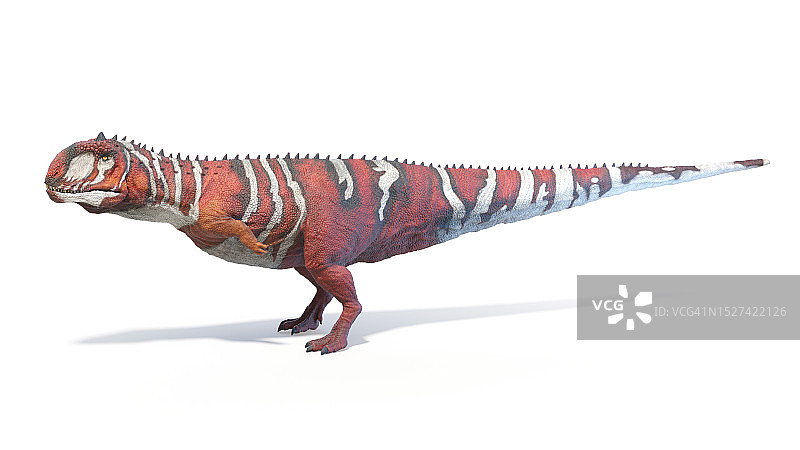 玛君龙恐龙插画图片素材