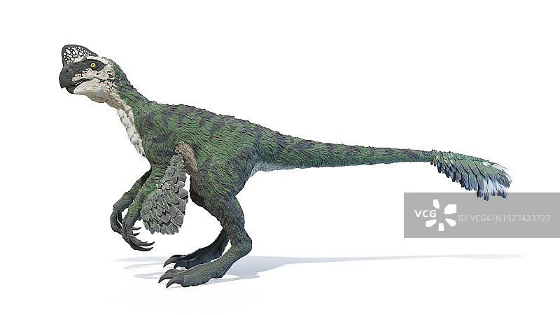 窃蛋龙插画图片素材