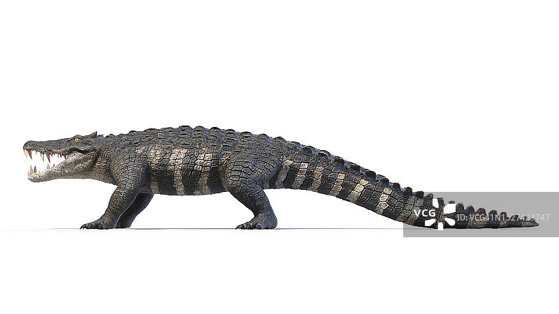 史前鳄鱼卡普罗苏克斯插图图片素材