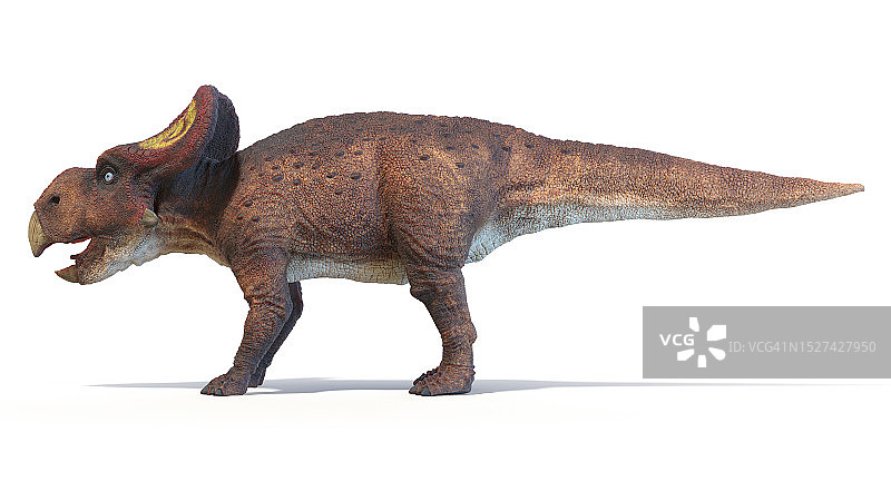 原角龙恐龙插图图片素材