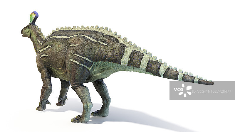 青岛龙恐龙插图图片素材