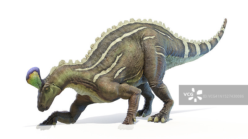 青岛龙恐龙插图图片素材