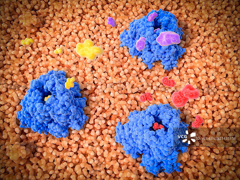 排出抗生素的多重耐药外排泵分子模型图片素材