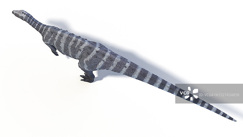 奇异龙恐龙插画图片素材