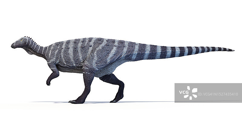 奇异龙恐龙插画图片素材