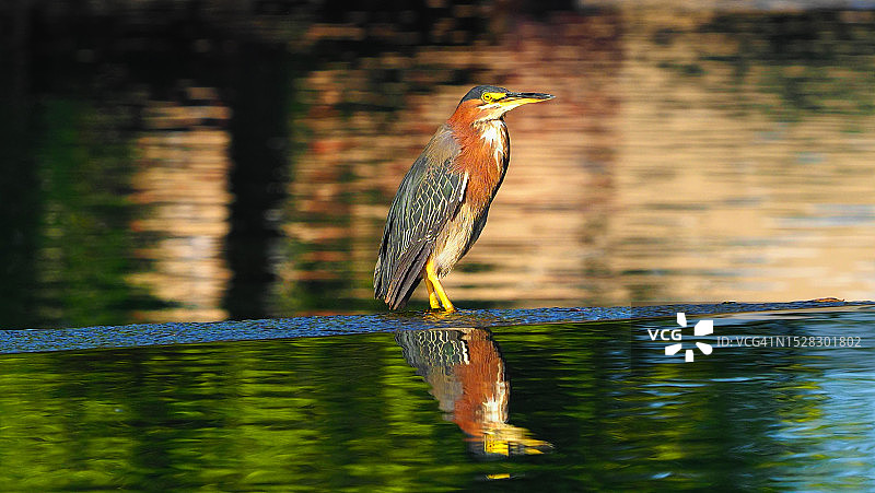 我们分手的那天图片素材