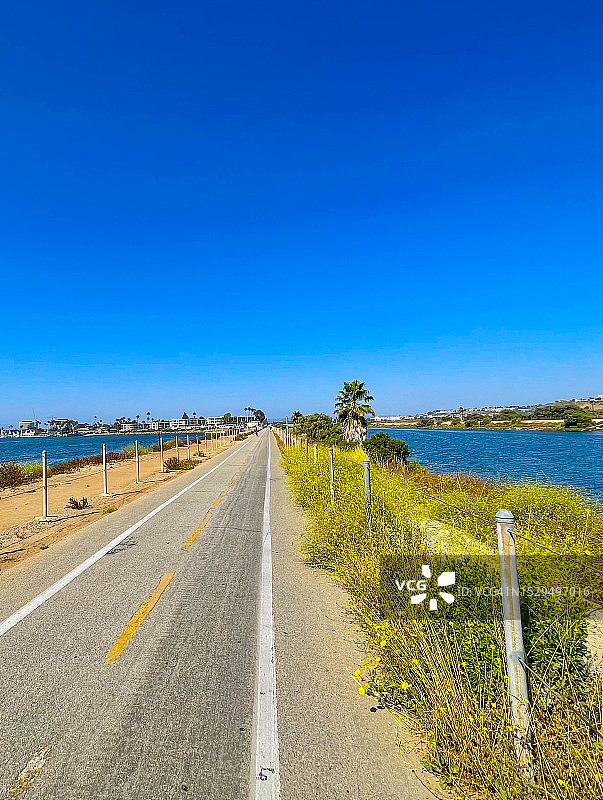 马文·布劳德自行车道和普拉亚德尔雷附近生长的绿金色野花图片素材