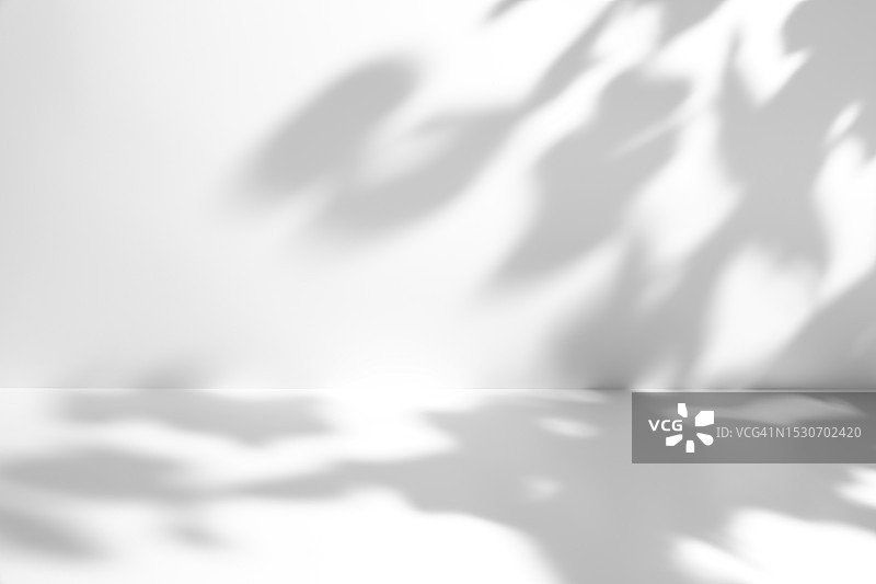 极简空灰色和白色3D房间展览背景与自然植物阴影图片素材