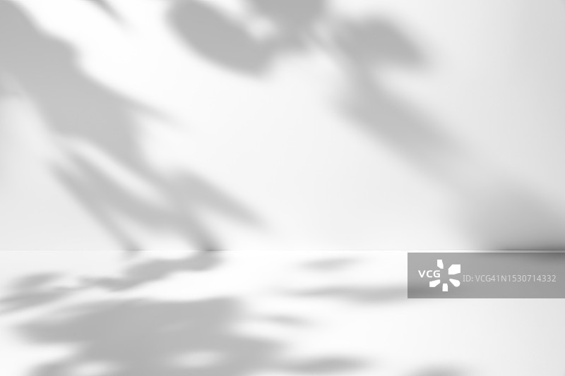 极简空灰色和白色3D房间展览背景与自然植物阴影图片素材