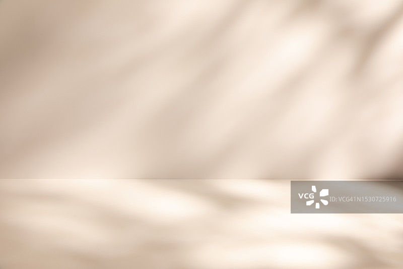 空旷的3D工作室展会背景——柔和的自然光和阴影图片素材