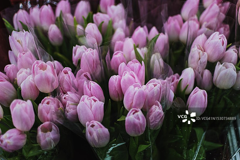 市场上鲜花的特写图片素材