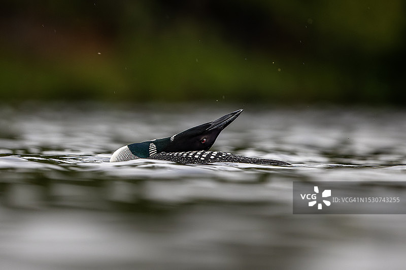 戏剧小丑图片素材